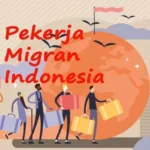 Magang Profesional: Langkah Tegas Pemerintah Reformasi Sistem untuk Perlindungan PMI