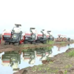 Pemerintah Pacu Swasembada Pangan dengan Optimalisasi Lahan