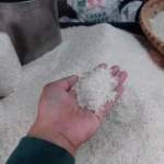 Pemerintah Perkuat Pengawasan Distribusi untuk Cegah Beras Oplosan