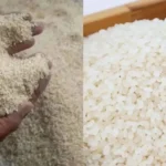 Pemerintah Pastikan Usut Tuntas Kasus Beras Oplosan hingga ke Akarnya