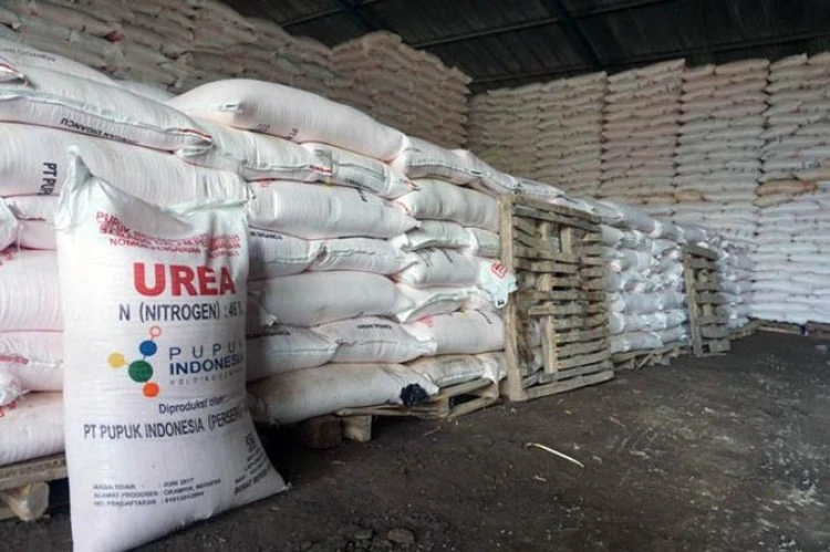 Distribusi Pupuk Kunci Kesuksesan Swasembada Pangan