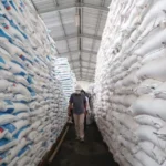 Pemerintah Percepat Swasembada Pangan Lewat Infrastruktur dan Pupuk