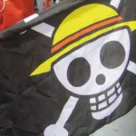 Bendera Bajak Laut Tidak Relevan dengan Nilai-Nilai Kemerdekaan