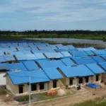 Pemerintah Pacu Infrastruktur Papua Lewat Penjaminan Kredit dan Pembangunan Rumah Rakyat