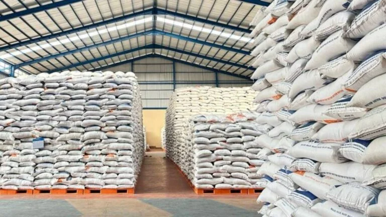 Koperasi Merah Putih dan Rekor Stok Beras Jalan Baru Menuju Kedaulatan Pangan