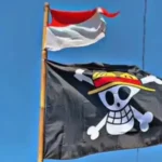 Pemerintah Minta Anak Muda Tak Terjebak Euforia Bendera Bajak Laut
