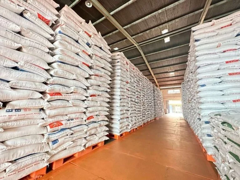 Stok Beras Nasional Catat Rekor Tertinggi, Terus Dukung Program Swasembada Pangan