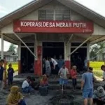 Koperasi Desa Merah Putih Dorong Kemandirian Ekonomi Berbasis Gotong Royong di Papua