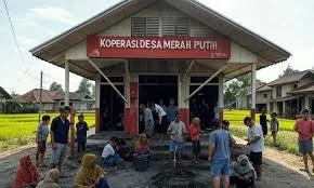 Koperasi Desa Merah Putih Jadi Motor Kemandirian Ekonomi di Papua