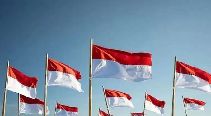 Jaga Kehormatan Merah Putih, Hindari Pengibaran Bendera One Piece di Momen Sakral