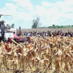 Presiden Prabowo Pimpin Langkah Nyata Menuju Kedaulatan Pangan