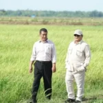 Program Swasembada Pangan Presiden Prabowo Langkah Nyata Dukung Kesejahteraan Rakyat