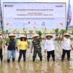Modernisasi Pertanian Bawa Indonesia Mandiri Pangan dan Kuatkan Ekonomi