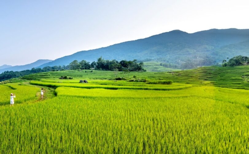 Swasembada Pangan Jadi Penopang Utama Ekonomi Berkelanjutan