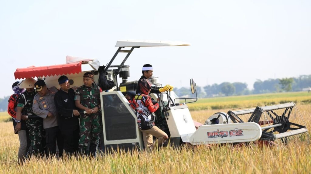 Program Swasembada Pangan Jadi Motor Penciptaan Lapangan Kerja Baru