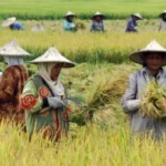 Swasembada Energi Jadi Pilar Ekonomi Baru dengan Perluasan Kesempatan Kerja