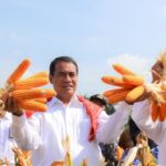 Panen Raya Jagung Tegaskan Komitmen Pemerintah Capai SwasembadaPangan