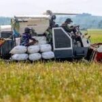 Pemerintah Targetkan Swasembada Pangan Dalam 3 bulan