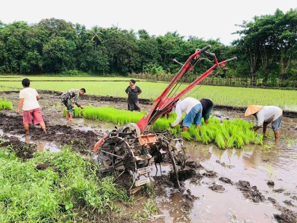 Pemerintah Genjot Swasembada Pangan Demi Kesejahteraan Petani dan Rakyat