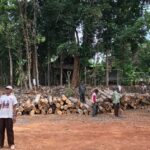 Hilirisasi Hasil Hutan Rakyat Gerakkan Ekonomi Desa dan Konservasi Alam