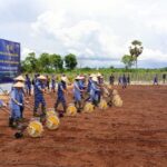 Pemerintah Dorong Swasembada Pangan dengan Reformasi Pupuk dan Irigasi