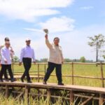 Ketahanan Pangan Nasional Terjaga, Swasembada Bukan Lagi Wacana Tapi Kenyataan