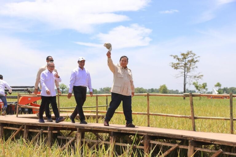 Ketahanan Pangan Nasional Terjaga, Swasembada Bukan Lagi Wacana Tapi Kenyataan
