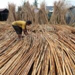 Pemerintah Dorong Hilirisasi Rotan untuk Perkuat Industri Nasional