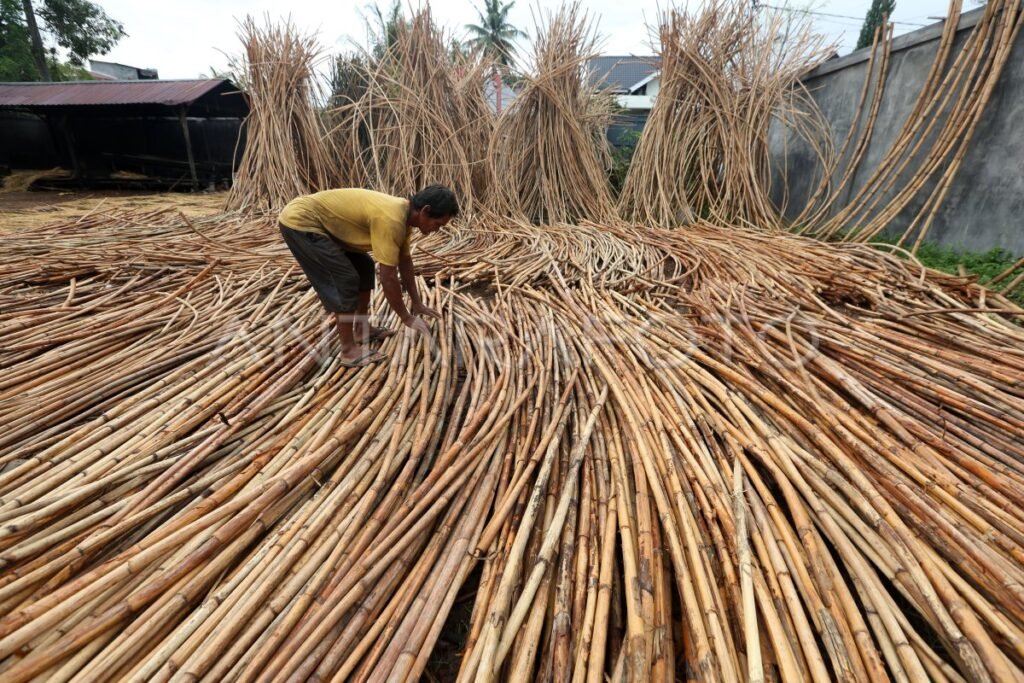 Pemerintah Dorong Hilirisasi Rotan untuk Perkuat Industri Nasional