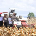 Swasembada Pangan 2025: Komitmen Presiden Prabowo Wujudkan Ketahanan Nasional