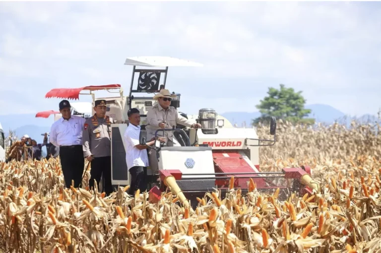 Swasembada Pangan 2025: Komitmen Presiden Prabowo Wujudkan Ketahanan Nasional