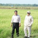 Kemandirian Pangan dan Energi di Papua Menjadi Pilar Strategis Pembangunan Nasional