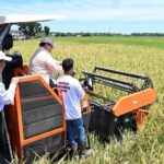 Setahun Pemerintahan Prabowo-Gibran, Swasembada Pangan Papua Jadi Simbol Ketahanan Pangan Indonesia