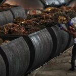Dari Nikel hingga Kelapa Sawit, Hilirisasi Buktikan Daya Saing Ekonomi Indonesia
