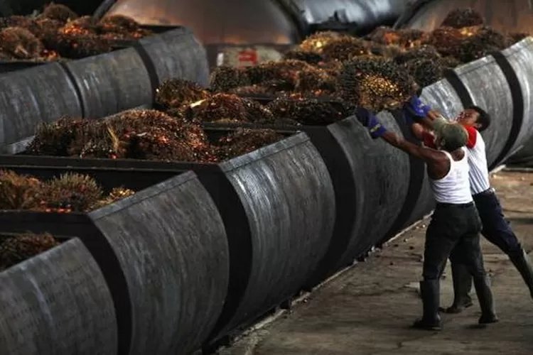 Dari Nikel hingga Kelapa Sawit, Hilirisasi Buktikan Daya Saing Ekonomi Indonesia