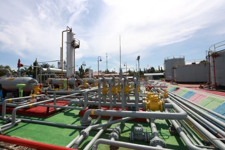 Pengembangan Gas Bumi Jadi Kunci Utama Wujudkan Swasembada Energi