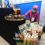 Pengembangan UMKM di Daerah Dorong Pemerataan Perekonomian