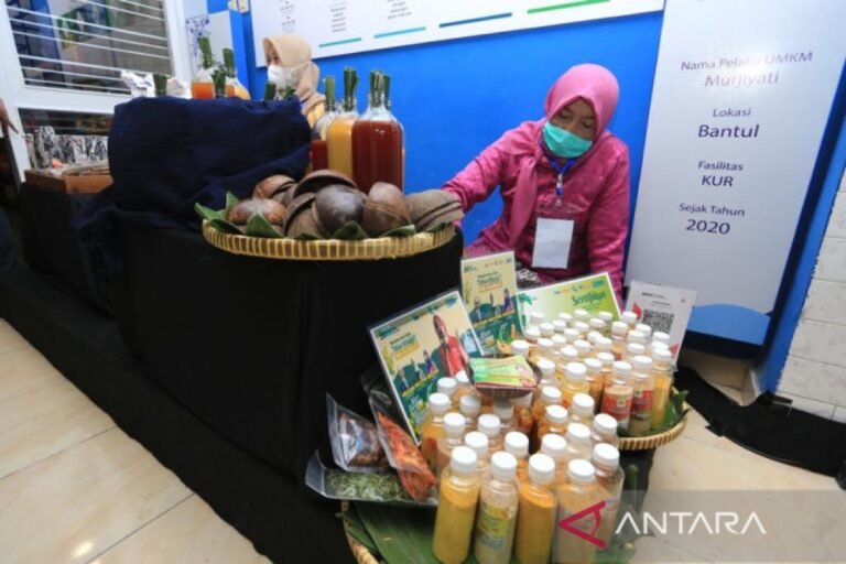 Pengembangan UMKM di Daerah Dorong Pemerataan Perekonomian