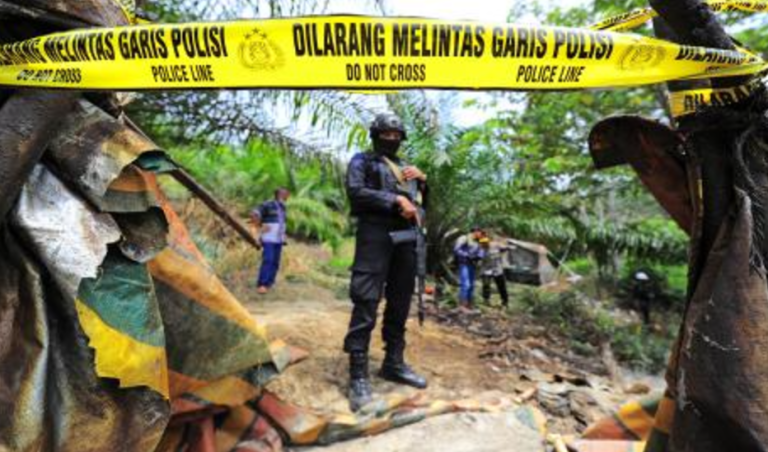 Pemerintah Tegas Tindak Tambang Ilegal Demi Kelestarian Lingkungan