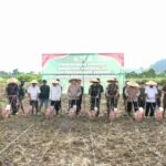 Pemerintah Perkuat Ketahanan Pangan Papua untuk Dorong Kemandirian Wilayah