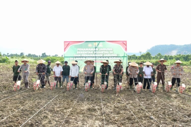 Pemerintah Perkuat Ketahanan Pangan Papua untuk Dorong Kemandirian Wilayah