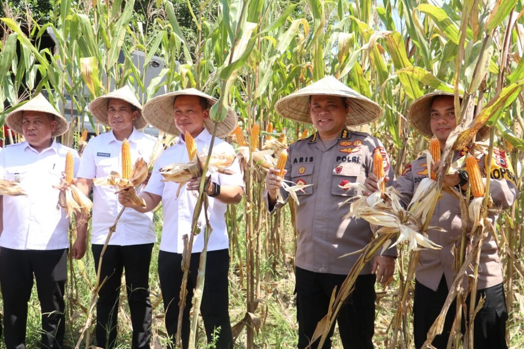 Langkah Terpadu Perkuat Ketahanan Pangan Papua: Produksi Meningkat, Pengawasan Diperketat