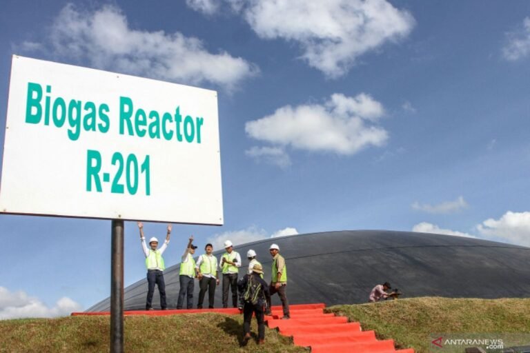 Pemerintah Dorong Generasi Muda Penggerak Program Swasembada Energi Nasional