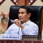 Pemerintah Siapkan Jutaan Lapangan Kerja Lewat Hilirisasi dan Investasi Desa