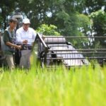 Modernisasi Pertanian dan Kebijakan Pro-Petani: Pilar Keberhasilan Swasembada Pangan Indonesia