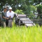 Cadangan Beras 3,8 Juta Ton Jadi Fondasi Indonesia Menuju Swasembada Pangan