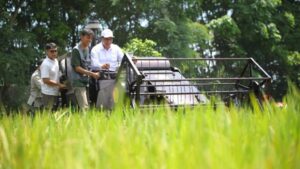 Cadangan Beras 3,8 Juta Ton Jadi Fondasi Indonesia Menuju Swasembada Pangan