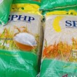 Penyaluran Beras SPHP Jamin Stabilitas Pasokan dan Harga Pangan di Tanah Papua