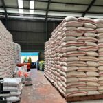 Cadangan Beras 3,8 Juta Ton, Bukti Nyata Indonesia Menuju Swasembada Pangan 2025