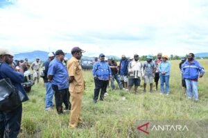 PSN Perkokoh Fondasi Kemandirian Pangan dan Kesejahteraan Papua Pegunungan